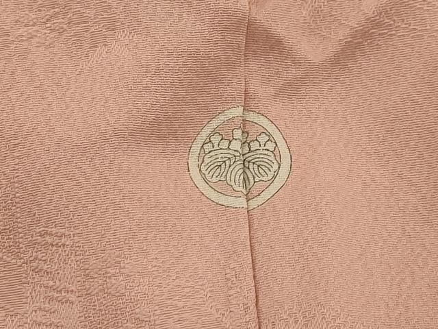 平和屋着物●上質な色無地 風景地紋 虹色 正絹 逸品 AAAS0400sx