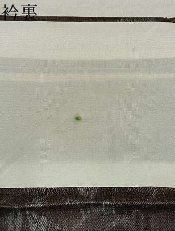 平和屋着物▽上質な紬 単衣 草花文 正絹 逸品 AAAS1503oa