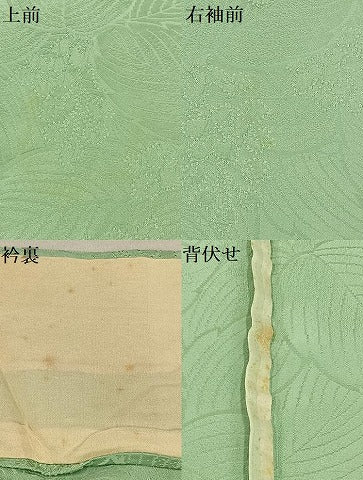 平和屋着物▽上質な色無地 単衣 草花地紋 若芽色 正絹 逸品 AAAS1510oa