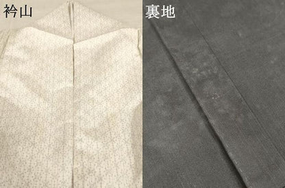 平和屋着物▽本場染大島紬　訪問着　単衣　色紙重ね人物文　暈し染め　金銀彩　正絹　逸品　AAAS3075iu