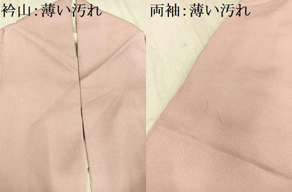 平和屋着物■色留訪問着　流水草木文　正絹　逸品　AAAS3526ph