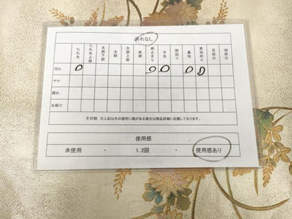平和屋着物◎太鼓柄袋帯　螺鈿　草花文　金彩　金通し地　正絹　逸品　AAAS4361hg