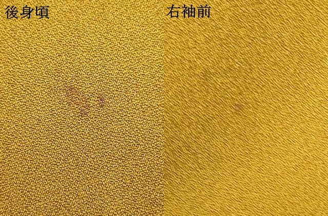 平和屋着物▽訪問着 単衣 草花文 金銀彩 さが美扱い 正絹 逸品 AAAS4975fy