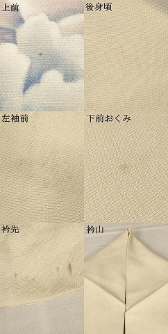 平和屋着物▽訪問着 単衣 舞花文 金銀彩 正絹 逸品 AAAS7437iu