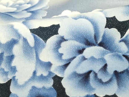平和屋着物▽訪問着 単衣 舞花文 金銀彩 正絹 逸品 AAAS7437iu