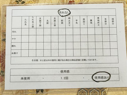 平和屋着物◎六通柄袋帯 唐織 短冊花文 金糸 金通し地 正絹 逸品 AAAS8845sg