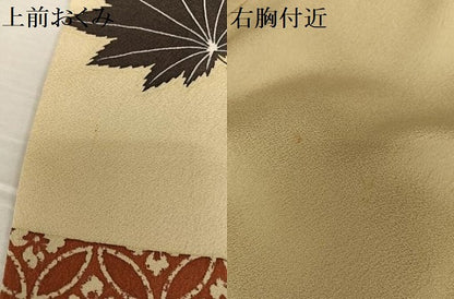 平和屋着物●染色の魔術師 染乃座・大久保玄才 そめのざ玄才 訪問着 舞葉文 正絹 逸品 AAAT0573zg