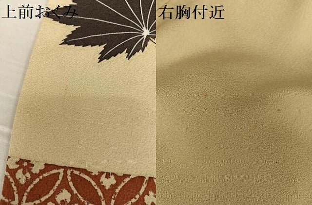 平和屋着物●染色の魔術師 染乃座・大久保玄才 そめのざ玄才 訪問着 舞葉文 正絹 逸品 AAAT0573zg