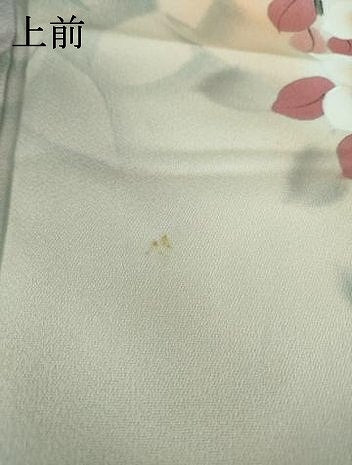 平和屋着物●訪問着　作家物　手描き　草花文　暈し染め　正絹　逸品　AAAT0897ck