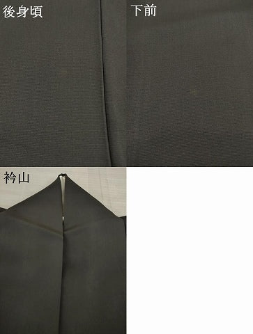 平和屋着物●訪問着 草木シルエット 正絹 逸品 AAAT2209ck