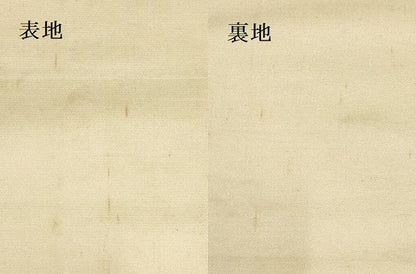 平和屋着物●龍村平蔵製　六通柄　本袋帯　木画インコ　金銀糸　正絹　逸品　AAAT3783wj