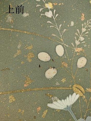 平和屋着物●訪問着 作家物 草花文 暈し染 金銀彩 正絹 逸品 AAAT6601ck