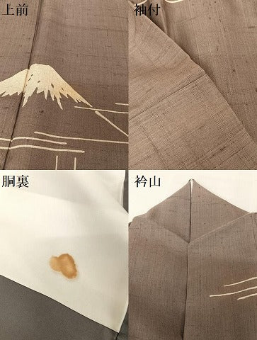 平和屋着物●染織の名門　しょうざん 　野口一丸 　生紬　訪問着　一珍染　日本橋　正絹　逸品　AAAT9437np
