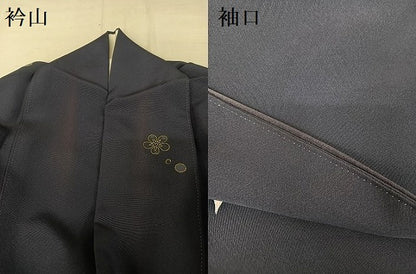 平和屋着物●本加賀友禅作家　奥泉可愛　訪問着　葡萄蔦の葉　正絹　逸品　AAAT9453np