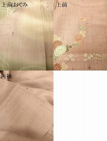 平和屋着物●訪問着 生紬地 風景文 暈し染め 金彩 正絹 逸品 AAAU0019np