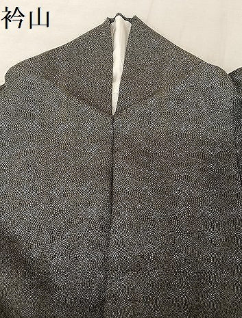 平和屋着物●江戸小紋　鮫小紋柄　黒地　正絹　逸品　未使用　CABA1632ut 平和屋着物○江戸小紋 極小鮫小紋柄 黒地 正絹 逸品 AAAU4329np