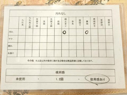 平和屋着物◎六通柄袋帯 唐織 流水花風景文 金糸 正絹 逸品 AAAU5187sx