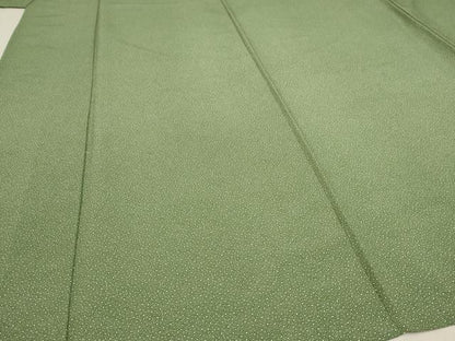 平和屋着物▽江戸小紋 単衣 両面染 大小あられ 洗える着物 AAAU6480iu
