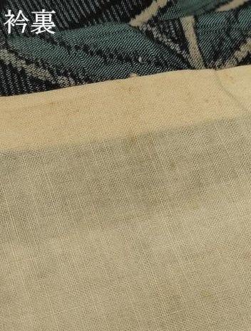 平和屋着物▽上質な紬 単衣 葉尽くし 正絹 逸品 AAAU6503iu