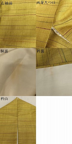 平和屋着物●訪問着　紬地　総刺繍　吹き寄せ文　正絹　逸品　AAAU8311zg