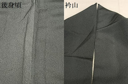 平和屋着物●訪問着　舞葉文　暈し染め　金彩　ますいわ屋扱い　正絹　逸品　AAAU8468zg
