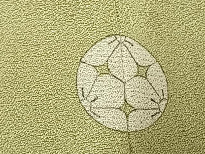 平和屋着物▽上質な色無地 単衣 若葉色 銀通し地 正絹 逸品 AAAU8553fy