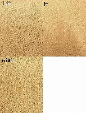 平和屋着物▽上質な色無地　単衣　花尽くし　飴色　正絹　逸品　AAAU8587fy