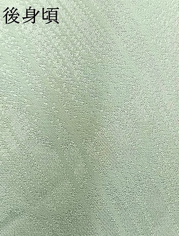 平和屋着物▽訪問着 単衣 花蝶文 暈し染め 銀彩 正絹 逸品 AAAU8675fy