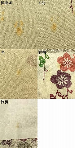 平和屋着物▽訪問着 単衣 型染め 草花文 鬼しぼ縮緬 正絹 逸品 AAAU8703fy