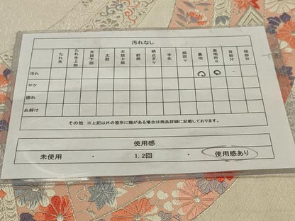 平和屋着物◎六通柄袋帯 唐織 熨斗目花文 銀糸 正絹 逸品 AAAV2430sw