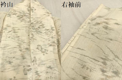 平和屋着物＊夏物　小紋　風景草花文　交織　逸品　AAAV2555ph