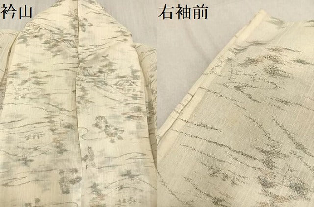 平和屋着物＊夏物　小紋　風景草花文　交織　逸品　AAAV2555ph