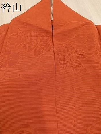 平和屋着物＊夏物　色無地　雲重ね花紋絽　赤茶色　正絹　逸品　AAAV2557ph