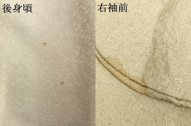 平和屋着物▽上質な小紋 単衣 南天文 暈し染め 正絹 逸品 AAAV2636fy
