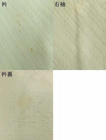平和屋着物▽訪問着 単衣 友禅 草花文 金糸 金彩 正絹 逸品 AAAV2637fy