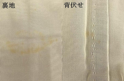 平和屋着物▽訪問着 無双 紗袷 紗×紗 手描き 枝花文 正絹 逸品 AAAV2665fy