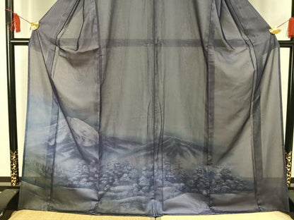 平和屋着物▽訪問着 無双 紗袷 紗×紗 手描き 風景樹林文 正絹 逸品 AAAV2674fy