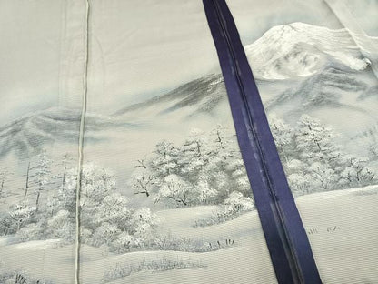 平和屋着物▽訪問着 無双 紗袷 紗×紗 手描き 風景樹林文 正絹 逸品 AAAV2674fy