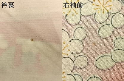 平和屋着物▽小振袖 二尺袖 単衣 草花文 金彩 正絹 逸品 AAAV2680fy