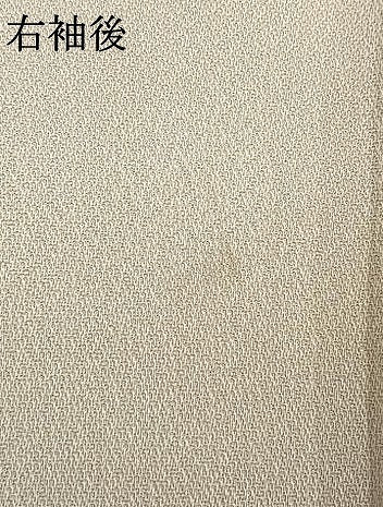平和屋着物▽訪問着 単衣 刺繍 花文箱文 銀糸 正絹 逸品 AAAV2716fy