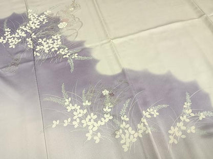 平和屋着物▽訪問着 単衣 刺繍 花文箱文 銀糸 正絹 逸品 AAAV2716fy