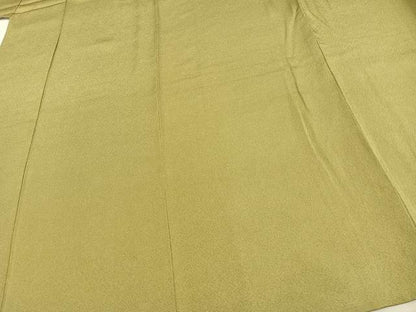 平和屋着物▽江戸小紋 単衣 極小鮫小紋柄 正絹 逸品 AAAV2809fy