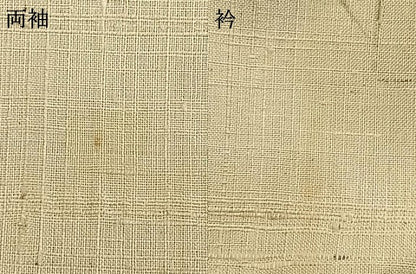 平和屋着物▽訪問着　単衣　紬地　手描き　草花文　正絹　逸品　AAAV2814fy