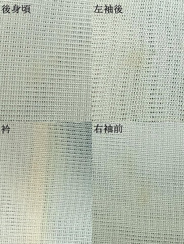 平和屋着物▽訪問着 無双 紗袷 紗×紗 萩文 正絹 逸品 AAAV2848fy