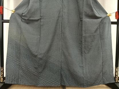 平和屋着物▽本塩沢 訪問着 単衣 110亀甲 割付き文 正絹 逸品 AAAV2879fy