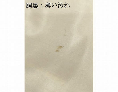 平和屋着物■上質な紬　間道　正絹　逸品　AAAV4217ma
