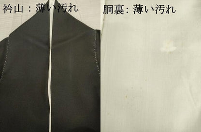 平和屋着物■豪華黒留袖　駒刺繍　流水松文　金彩　正絹　逸品　AAAV4228ma