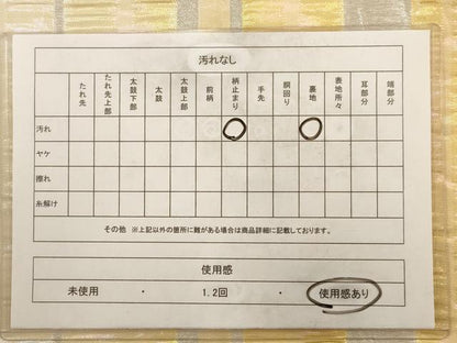 平和屋着物◎六通柄　京袋帯　額縁仕立て　間道　銀糸　正絹　逸品　AAAV6604dt