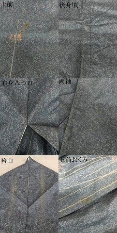 平和屋着物●本場染大島紬 訪問着 草花文 正絹 逸品 AAAV7029zg