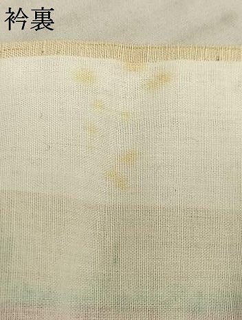 平和屋着物▽上質な紬 単衣 草花文 正絹 逸品 AAAV8361fy